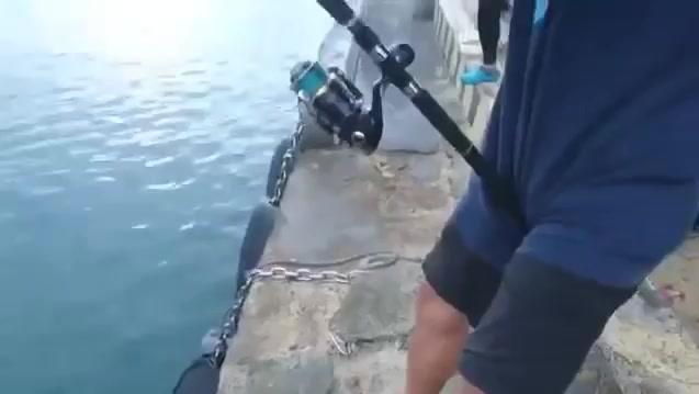 15080470086539164789.jpg?id=0