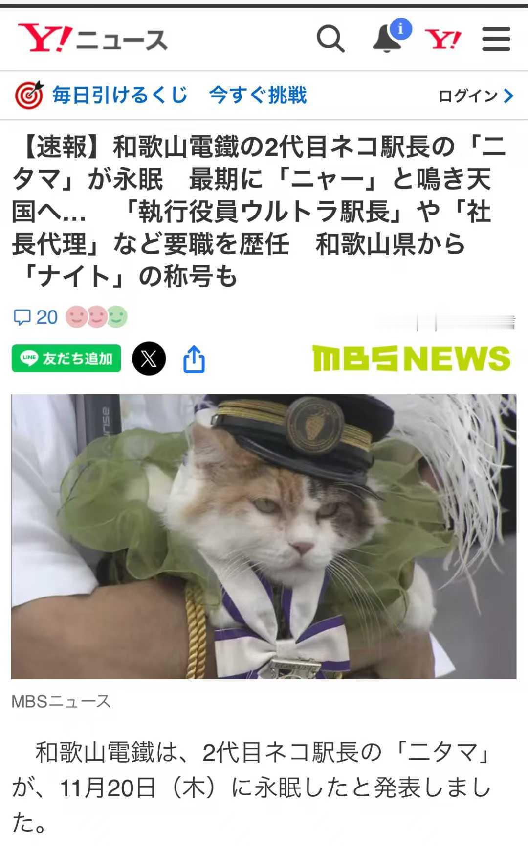 和歌山贵志川线的二玉站长回喵星了谢谢二玉这些年代替小玉守护了这条贵志川线，守护了