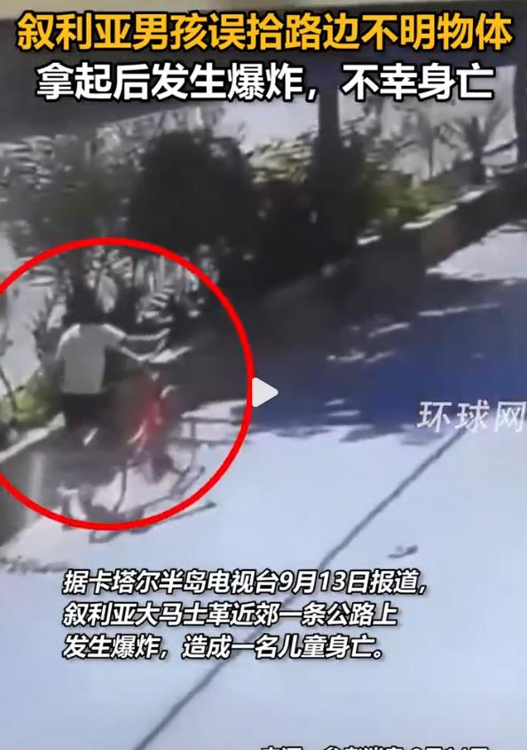 排雷至少还要十年，返乡的人却先到了：叙利亚停火之后，土地干净了吗？9月13日