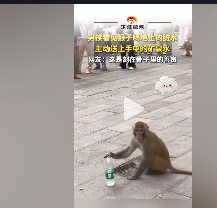 “上新华社了!”8月10日贵州景区里，在多数景区人猴争执、投喂乱象频发的当下，一