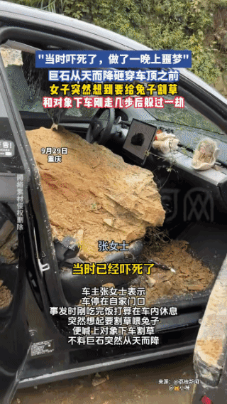 重庆一对情侣放假准备开车回家，途经一山坡底下，女子突然想到家里的兔子没草吃，就下