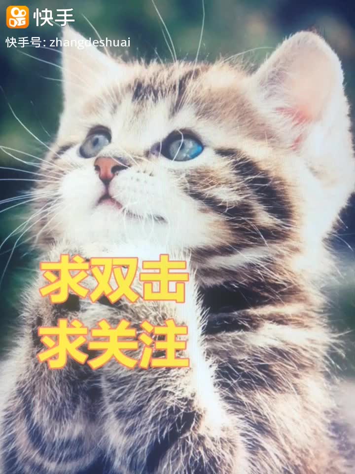 15081833587627680853.jpg?id=0