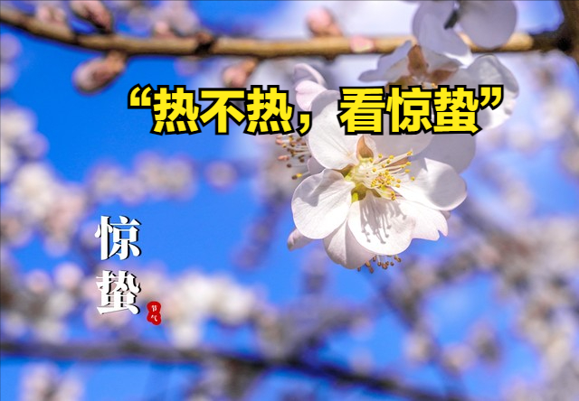 “热不热, 看惊蛰”, 今日惊蛰有啥预兆? 今年夏天会热死牛?