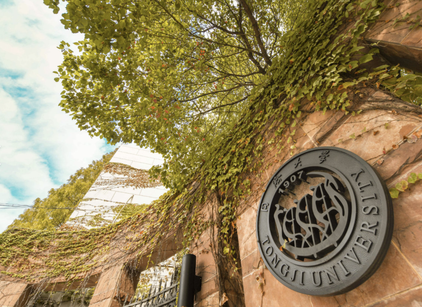 网红博主接二连三的向三所知名985大学举报教授学术论文存在虚假情况。其中同济大