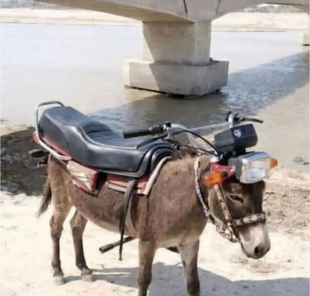 网友改装的新能源摩托车～