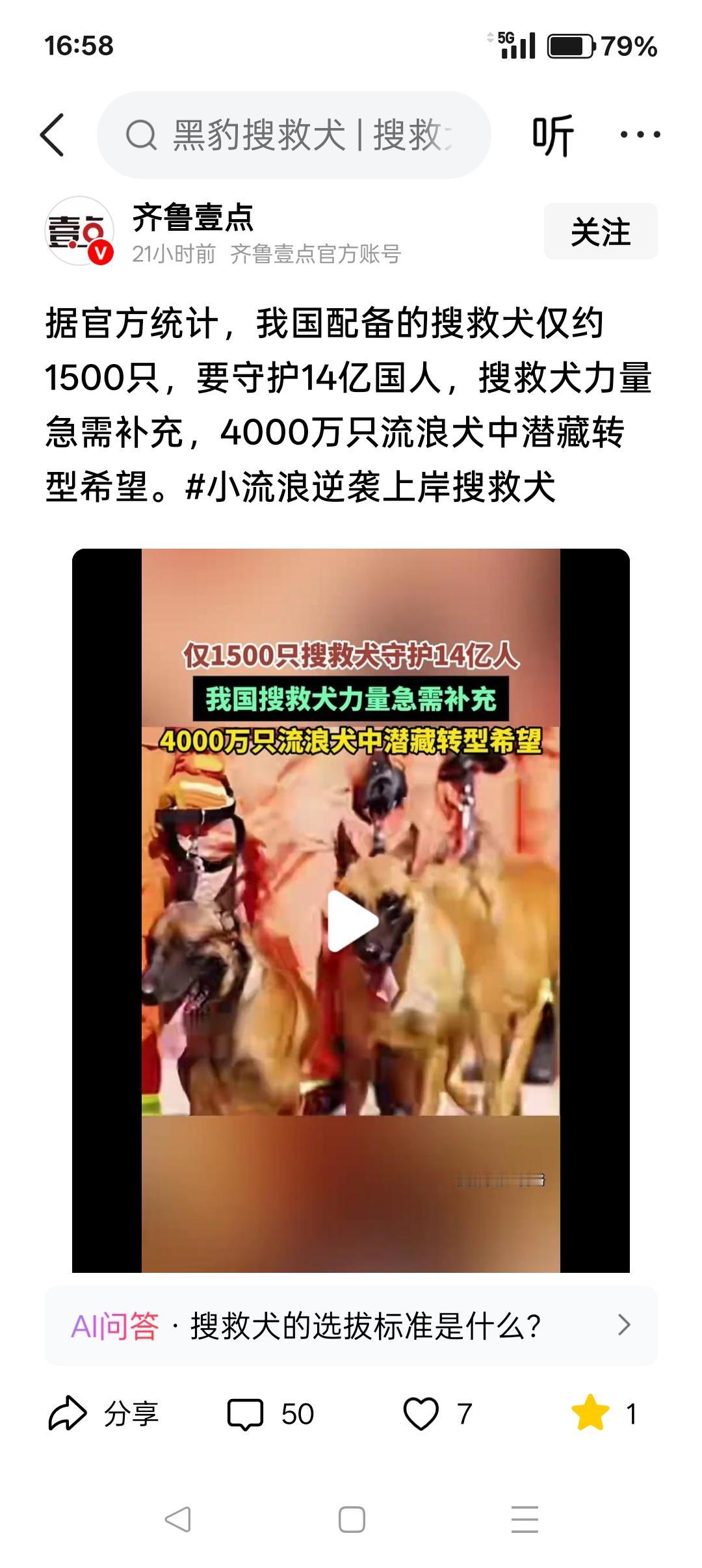 把4000万流浪狗培训成搜救犬？不可能！某媒体说：我国配备的搜救犬仅约150