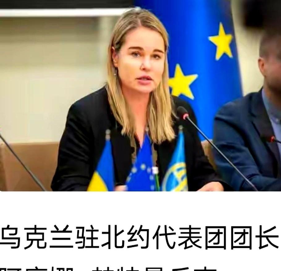 账单来了。乌克兰直接跟欧洲摊牌了：年底前，10亿欧，打过来。干嘛？买美国的武