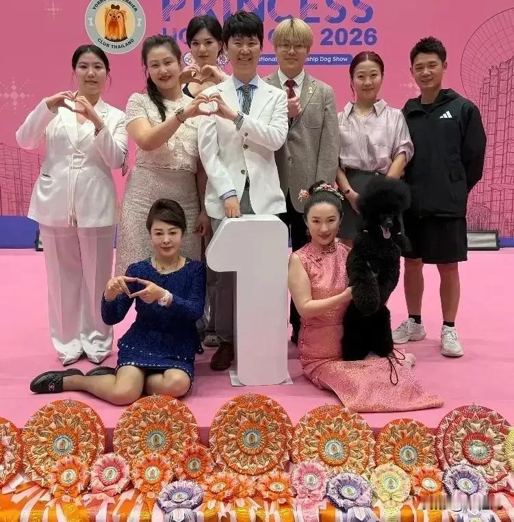 霍思燕隐退我不奇怪她和杜江认识因为狗，我也不奇怪我震感的是她聪明，她转型的赛