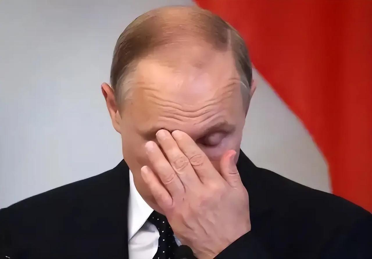 局势已经很明朗了，普京现在调动全国的力量，目标只有一个，就是设法体面地结束战争，