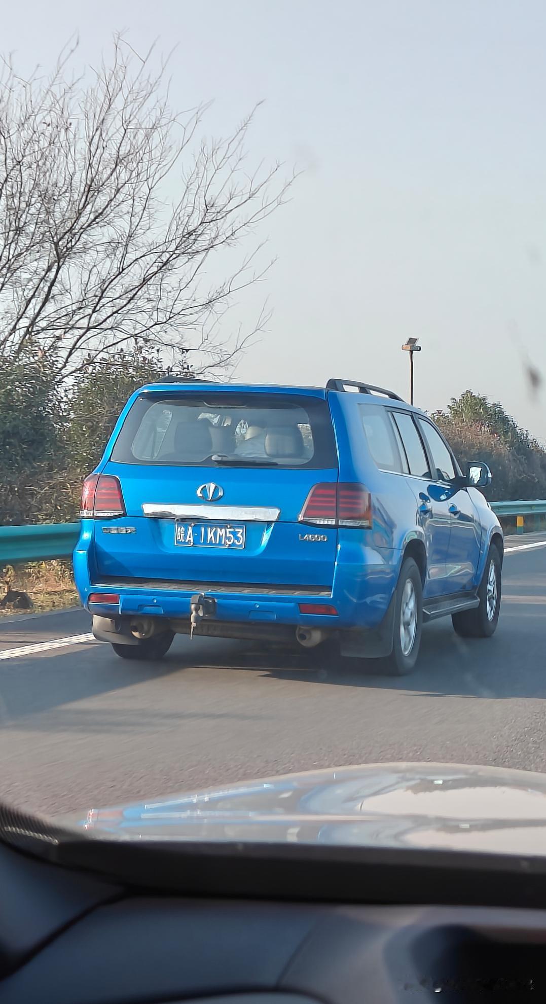 有大佬知道这是哪款国产车型？这车标没见过呢