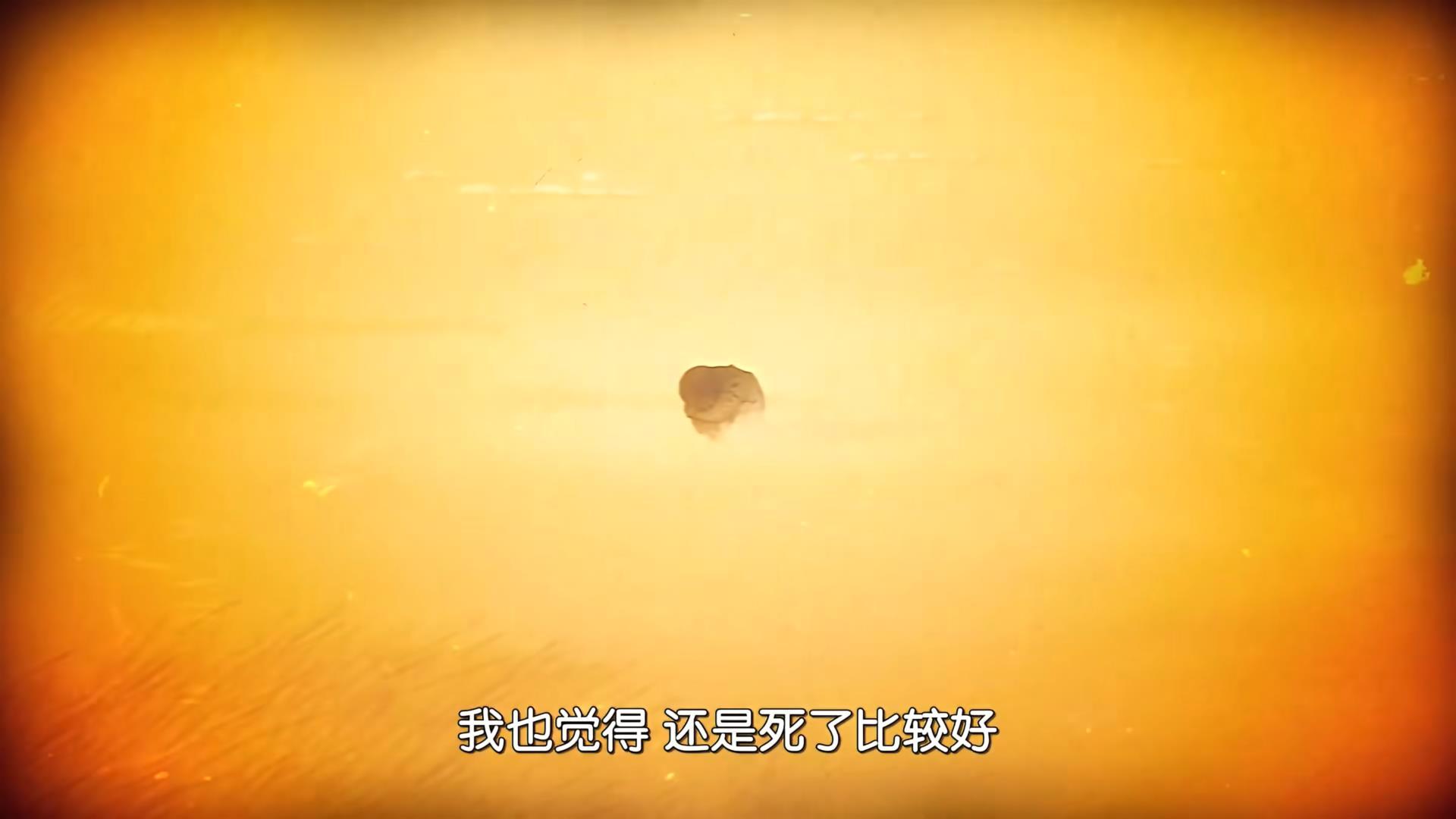 海贼王海贼王这死了更好的世界还好有你们​​​