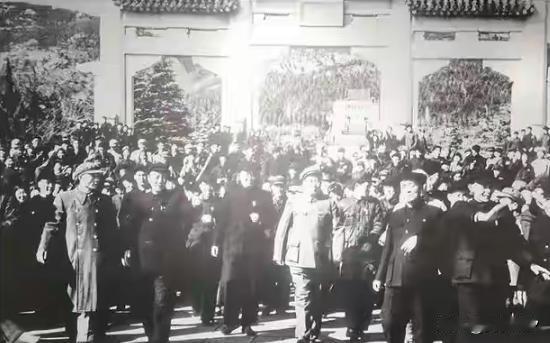 1953年，毛主席登上中山陵突然脸色一沉，指着满山的树问江渭清。1953年