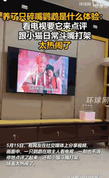 “这跟谁学的呢？”据媒体5月15日报道，一位网友在社交媒体上发布的一段视频，家里