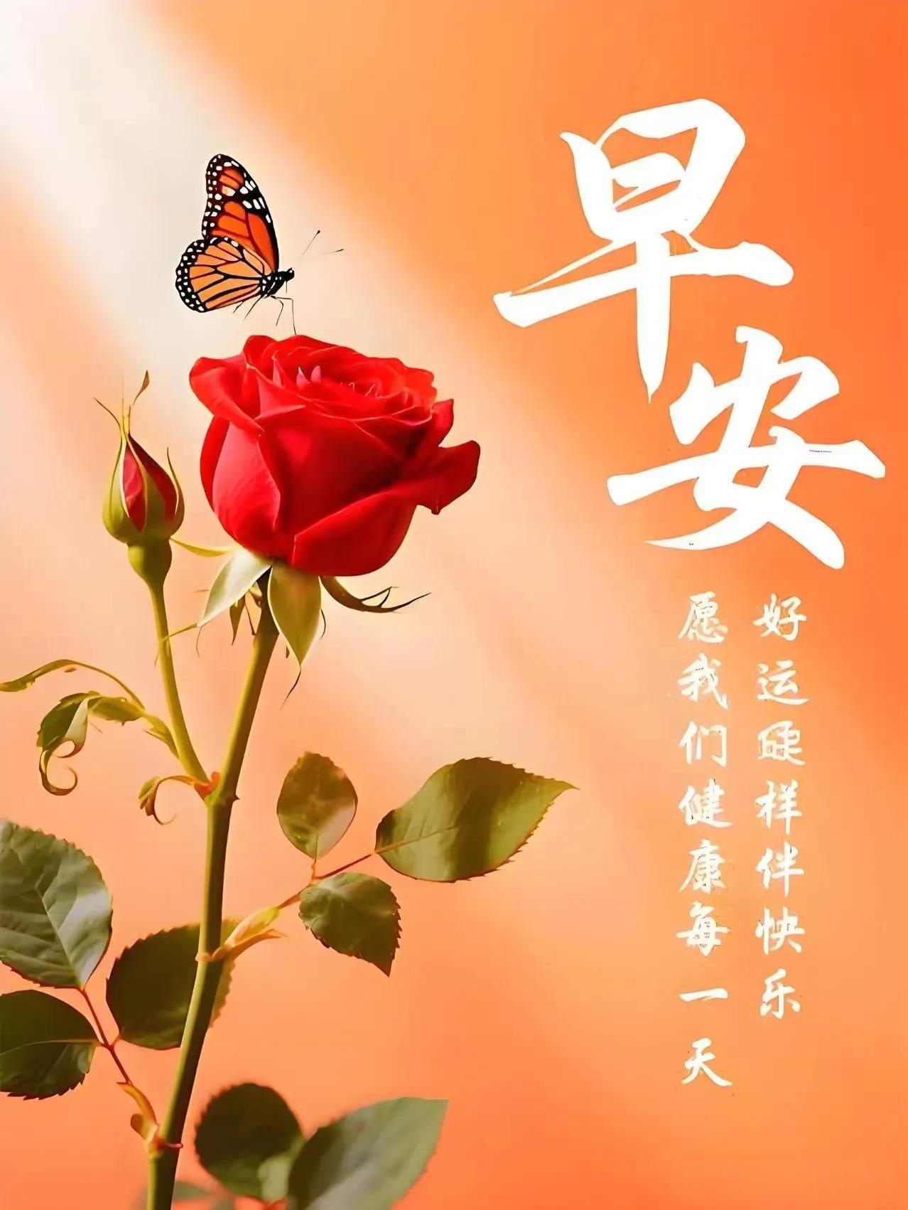 早安呀！新的一天带着满满的期许开启。都说有开心就有快乐，有平安就有幸福，有健康就