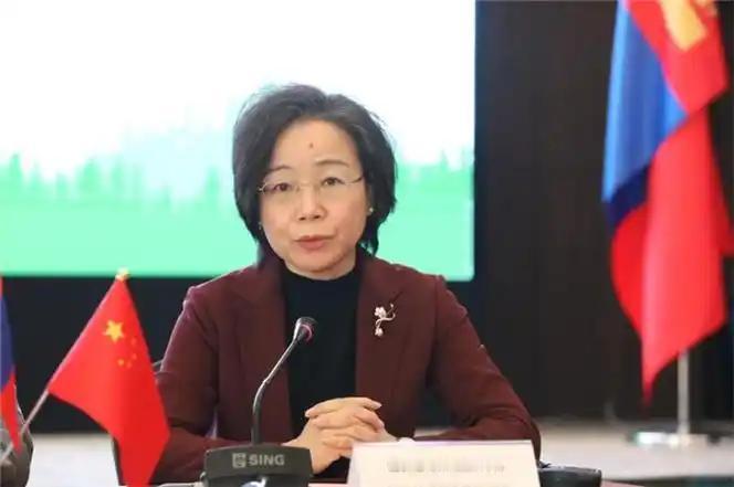 外交部有最新人事调整安排了！引发外媒第一时间的关注！7月29日，德国之声表示，中
