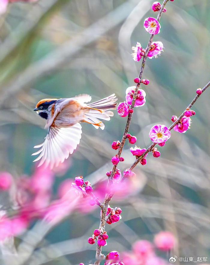 春天吃这些食物，有助疏肝理气、舒心养性“菜花黄，痴子忙”本是坊间一句玩笑话，但在