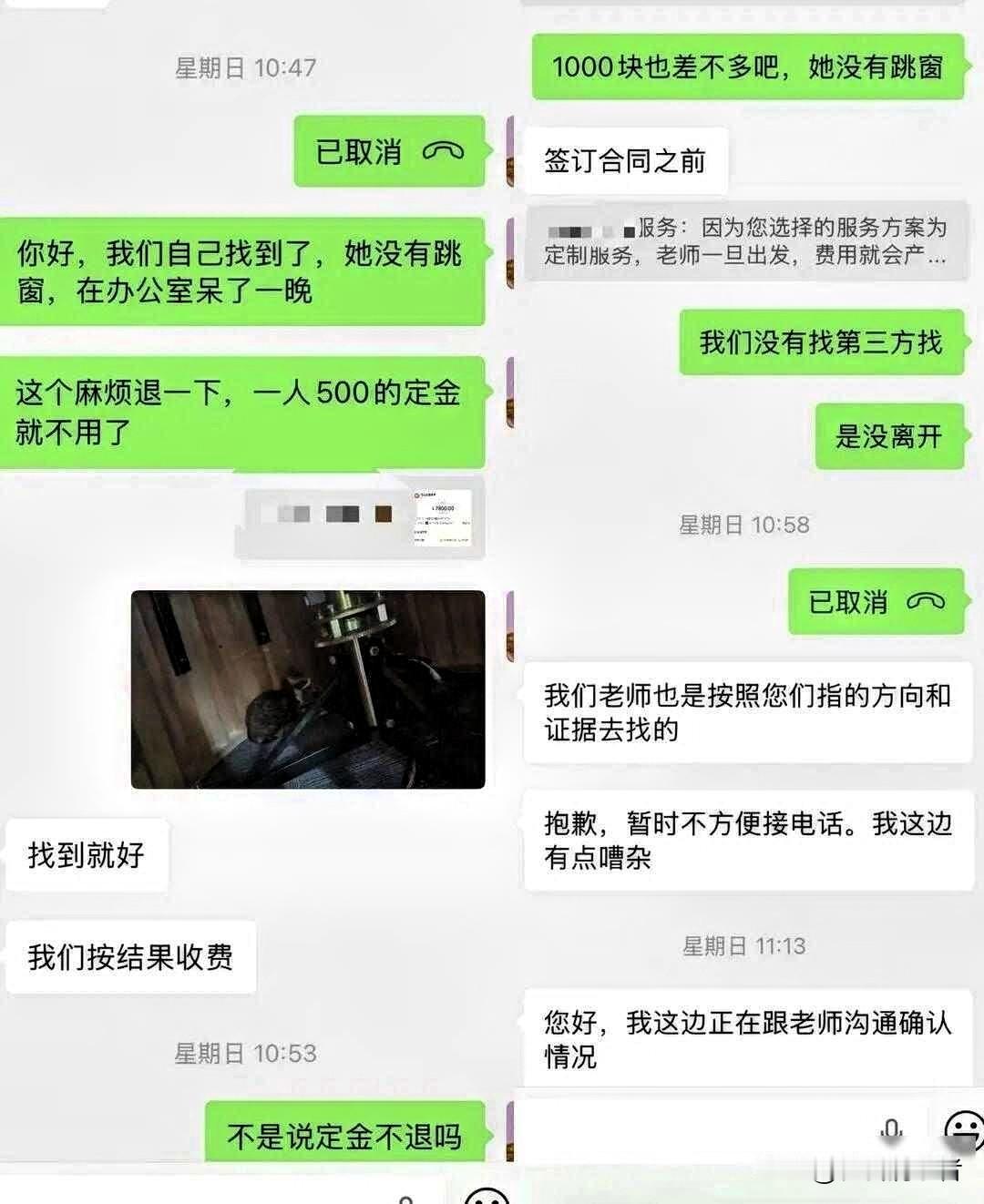 花8800元寻猫，猫就在原地！寻宠行业乱象该治了上海陈女士的寻猫乌龙，看得