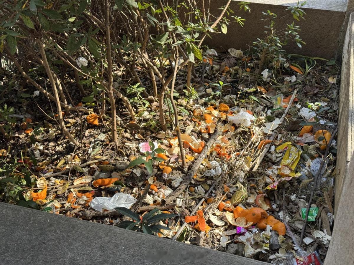 宁波亭溪岭古道垃圾成患亟待治理近日，网友反映鄞州横溪镇亭溪岭古道徒步沿线垃圾遍