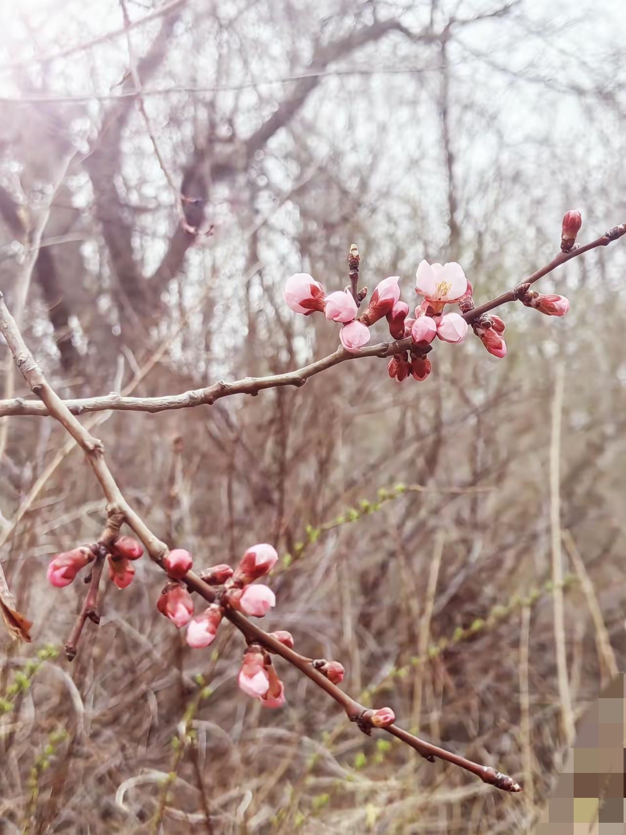 太真实！2026年钱变值钱了，别再瞎折腾！2026年，钱真的变值钱了！房子