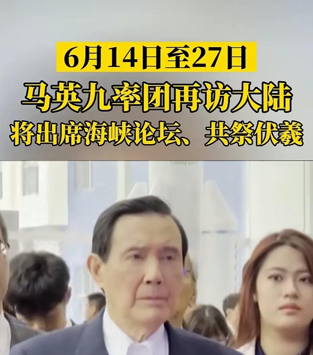 最软蛋的人来干嘛？每年来大陆骗吃骗喝骗玩，回到台湾后，又是另外一副嘴脸，靠着自己