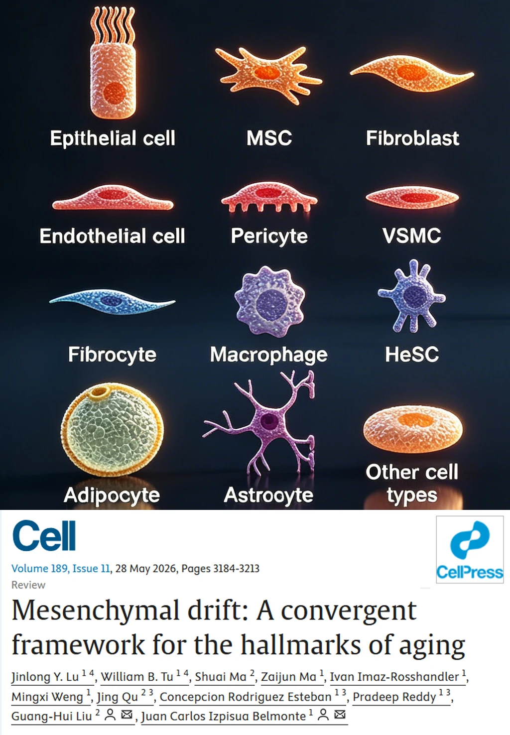 Cell重磅-返老还童有戏了！衰老是细胞转行