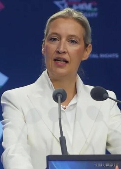 魏德尔真的不容小觑，这位德国政坛的女将，如今已经把默茨牢牢架在火堆上，让默茨头疼