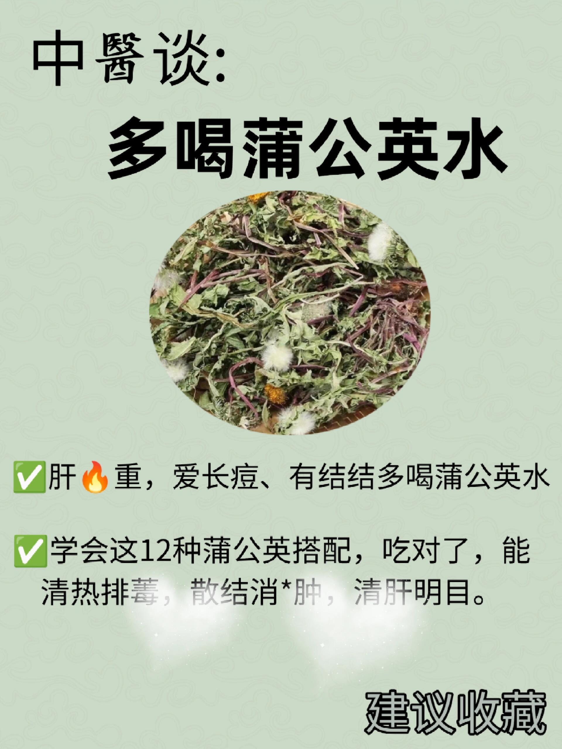 蒲公英12种搭配，清肝下火，散结还消痘❗