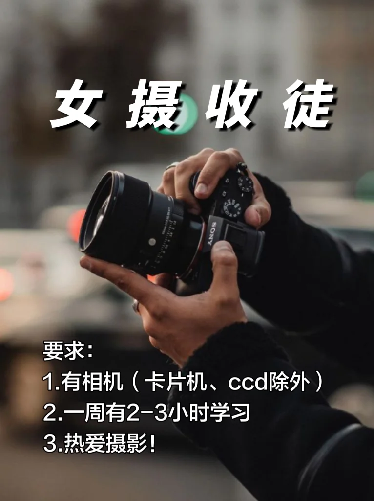 半夜突然很想交人摄影😭