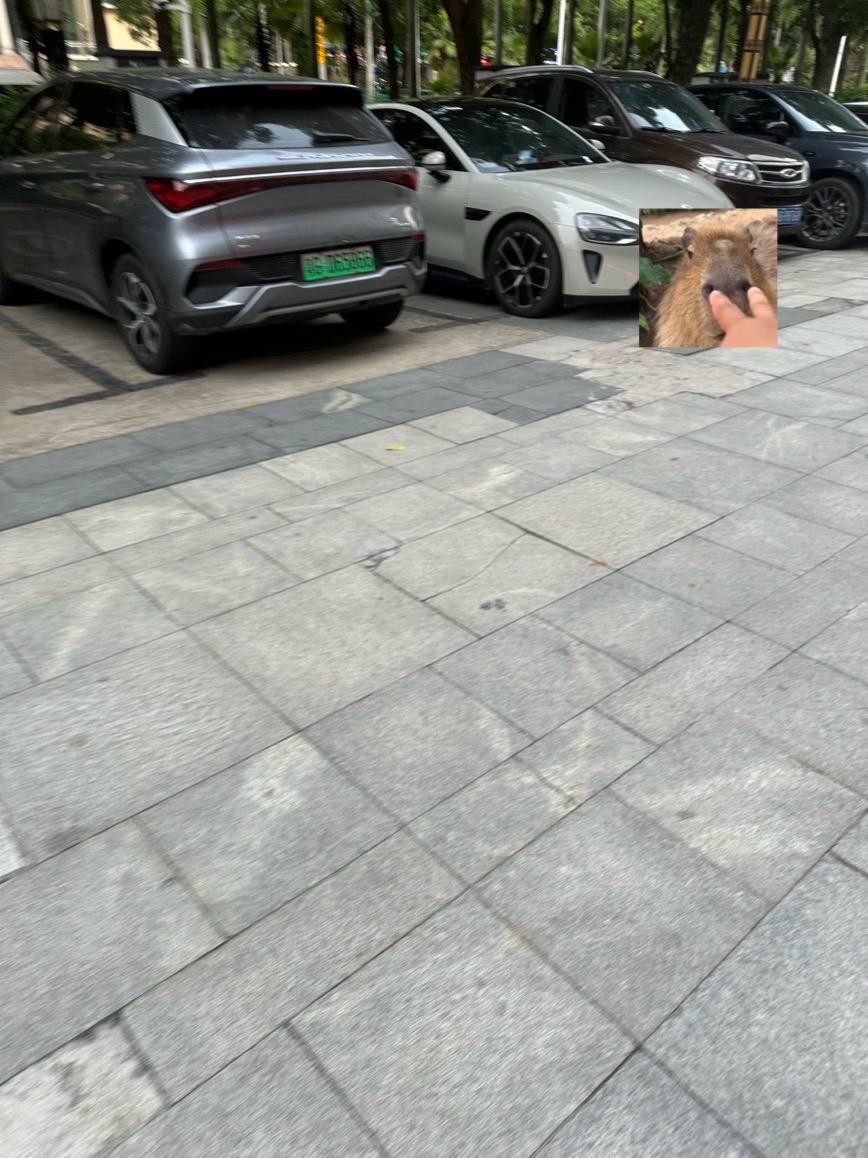 比亚迪净干不是人事。我的计划去吃个早餐回来充满电，来台狗亚迪直接把我的...