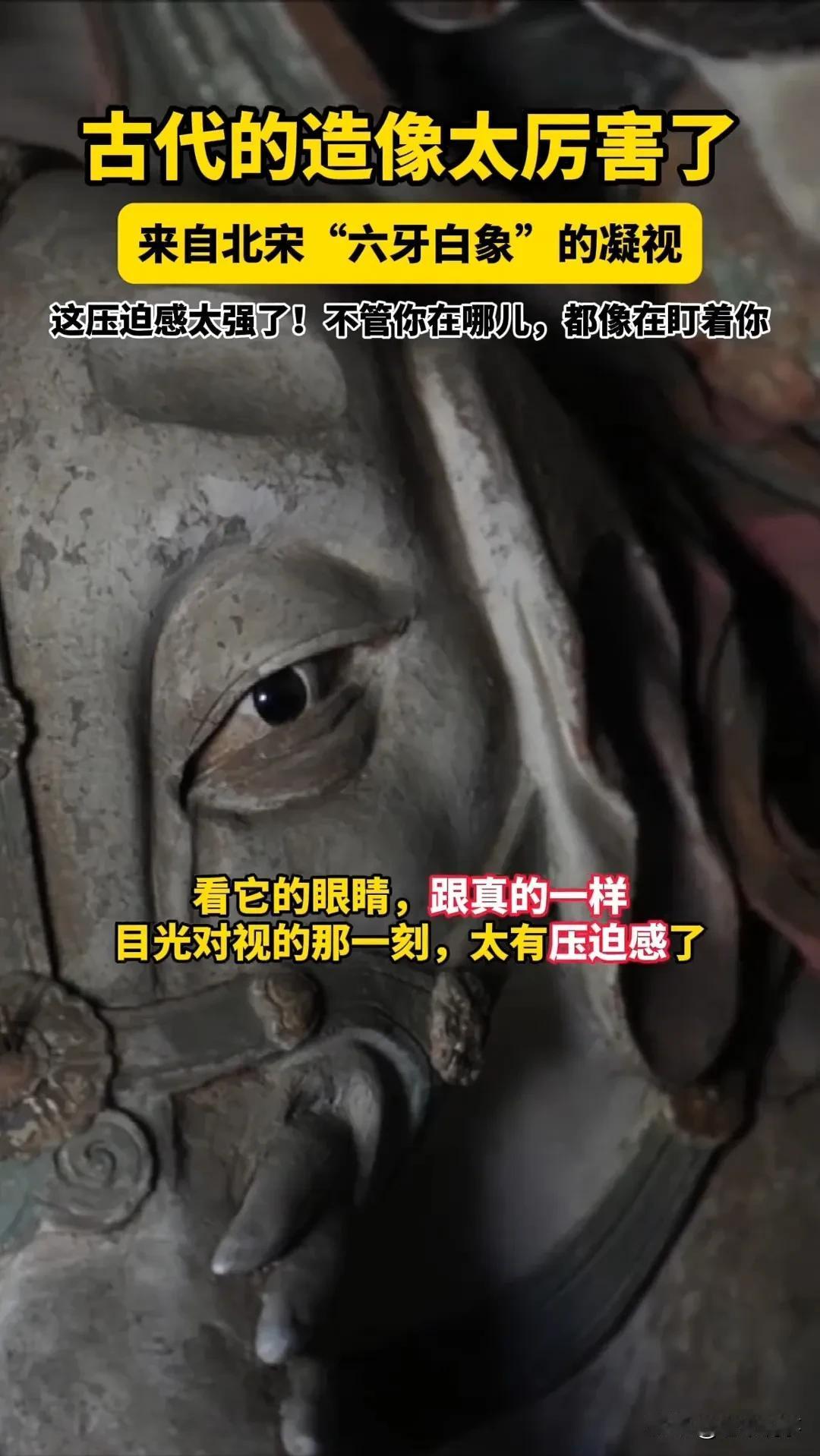 直视1000年前的“死亡凝视”！这头北宋白象为何让现代人脊背发凉？你敢和一