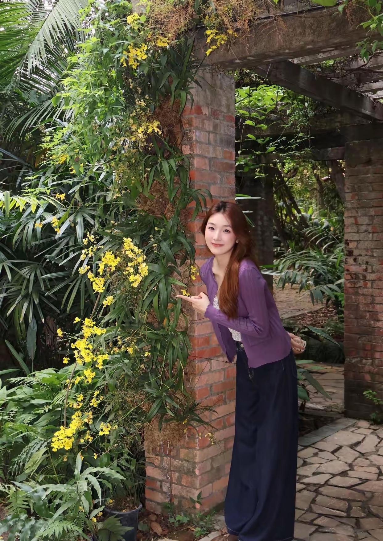 道理（Daoli)发音很快特别像Logi，就是西方的逻辑！