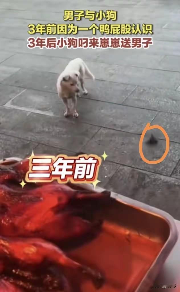 一位小哥哥开了一家烤鸡店，一直来生意还不错，三年前的一天夜里。他和往常一样在店里