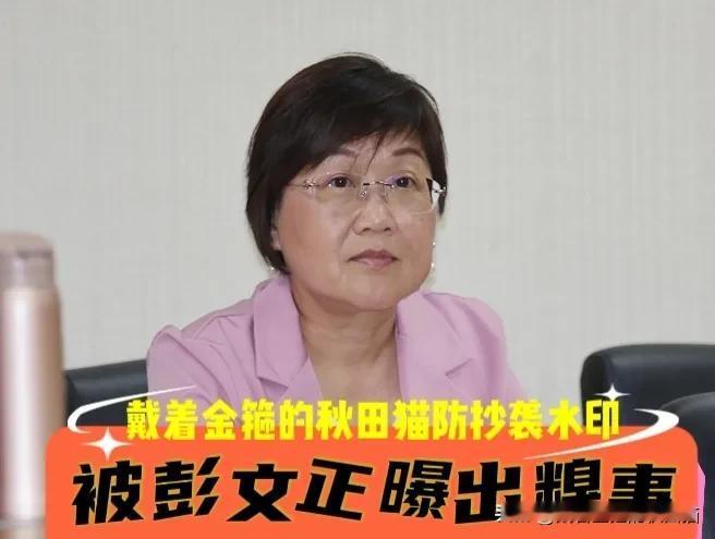 又被曝出丑闻糗事！徐佳青5年出行47次花掉2383万公帑！媒体人彭文正翻出她年