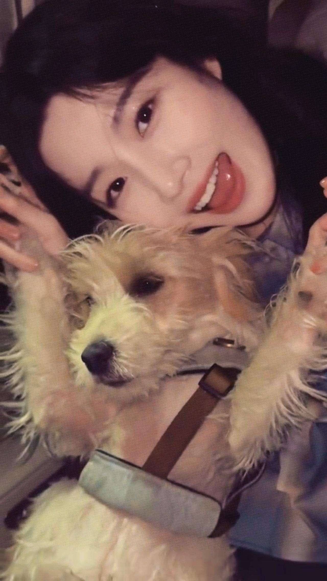 开心牙牙乐与躲避小狗🐕卢昱晓