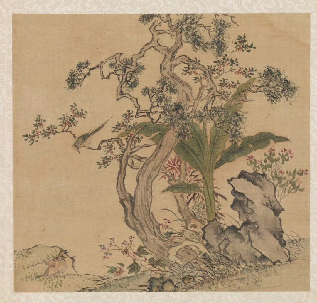 明·周之冕写生册 台北故宫博物院藏周之冕，1521年出生，明代杰出画家，字服卿
