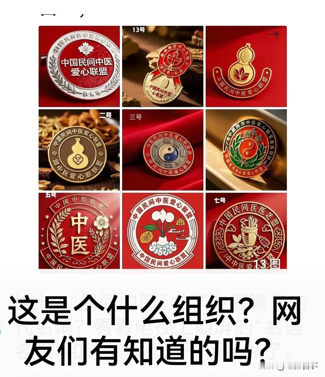 求助网友：有没有人知道这个“中国民间中医爱心联盟”是个什么组织吗？前几天我在网