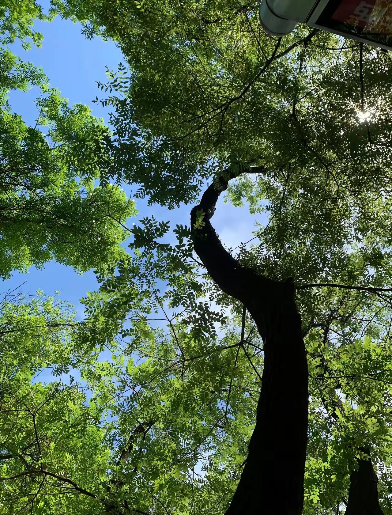 昨天，在医院给一个70岁老阿姨拆线。她年仅5岁的孙女命令我。“医生，你轻一点