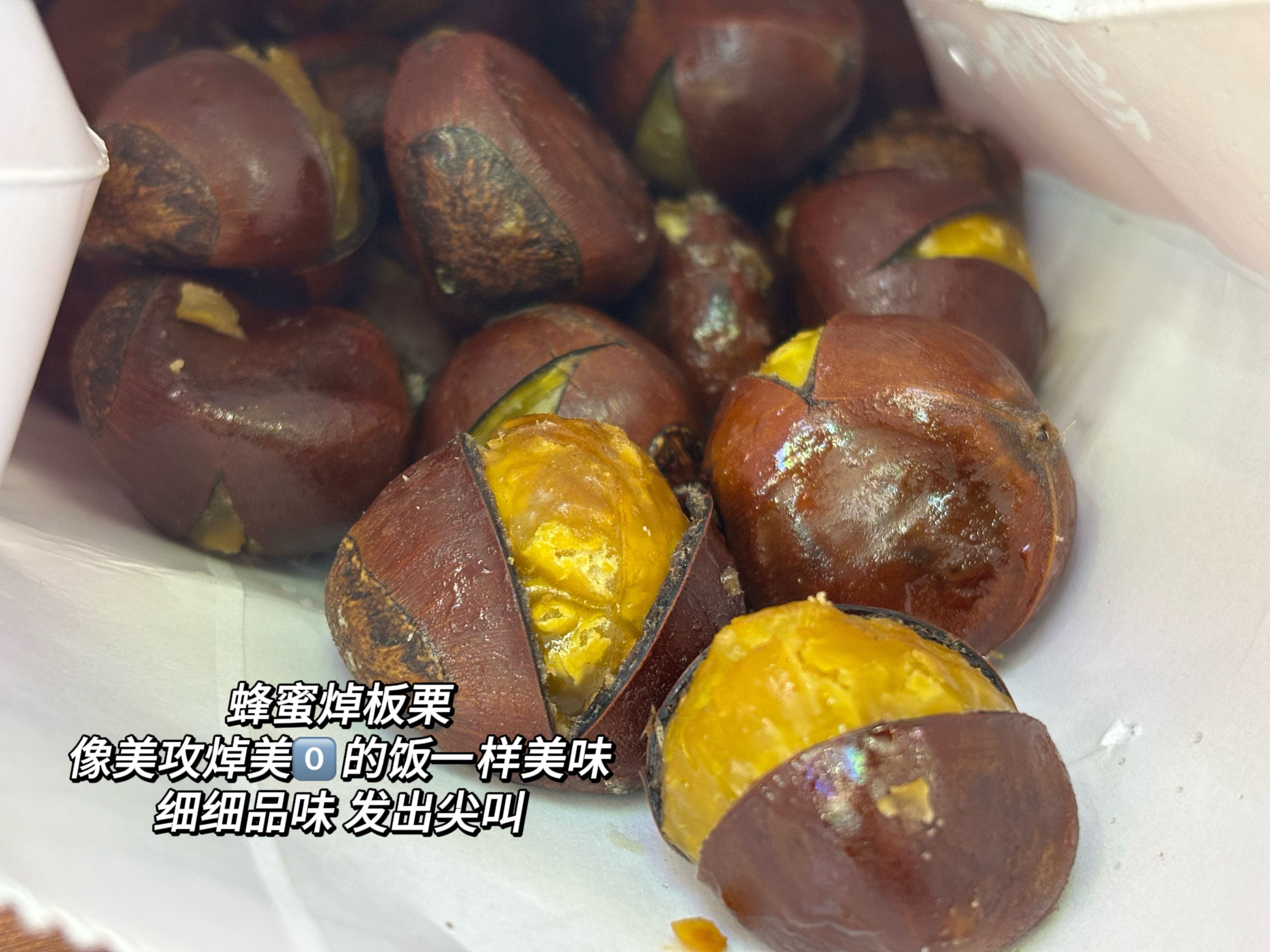 请疼爱见色起欲的葡罗格