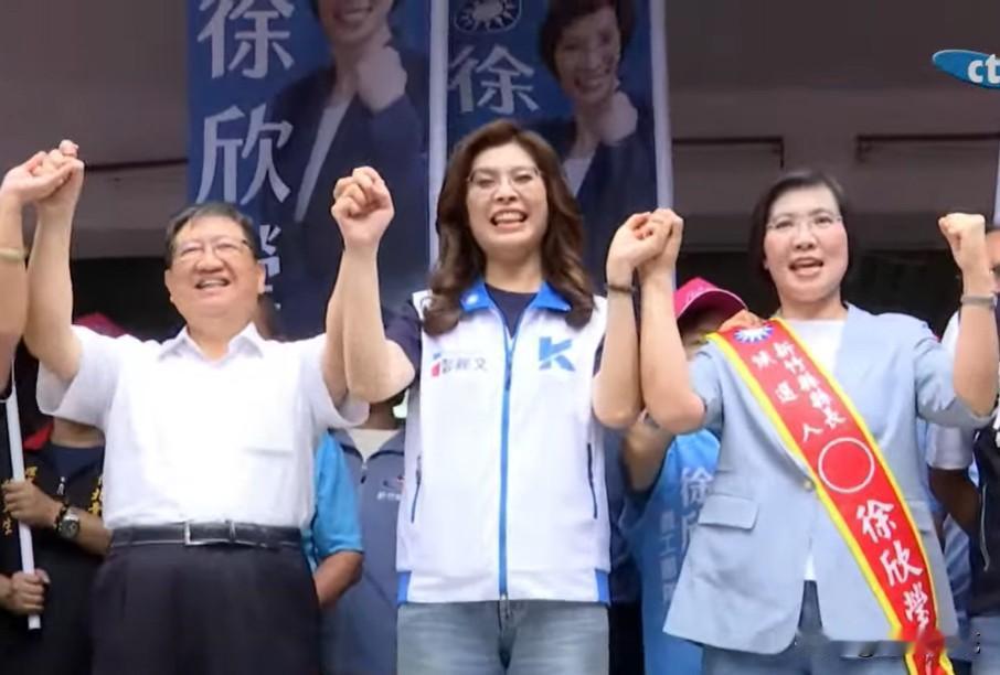 郑丽文陪徐欣莹王金平陪柯志恩卢秀燕陪江启臣魏平政无人陪诸多国民党县市长