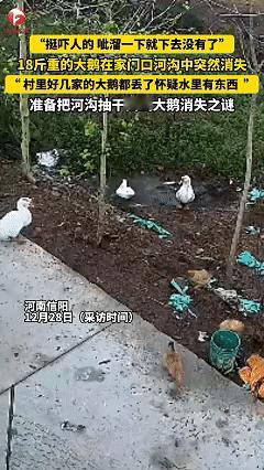 这下科学也解释不清了！近日河南信阳，男子从外地回家过冬至，在跟家里聊天时，家人说