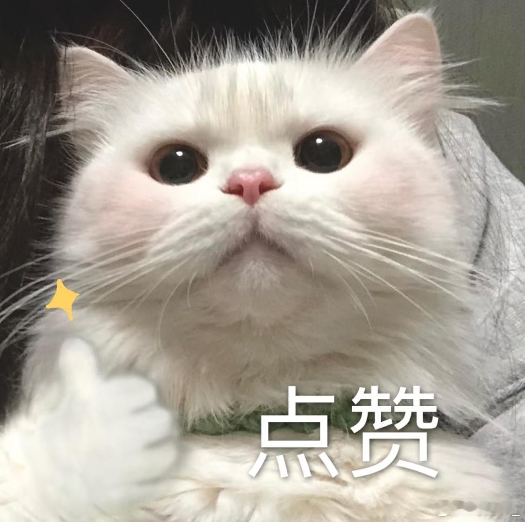 现在做开发真的很难完全不用AI聊到AI对程序员的改变，最大感受就是很难完全不用