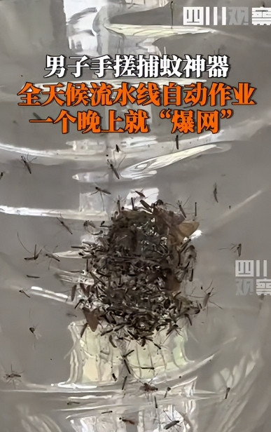 5月22日，福建厦门，一男子被村里的蚊子叮的不胜其烦，于是灵机一动，靠着风扇加紫