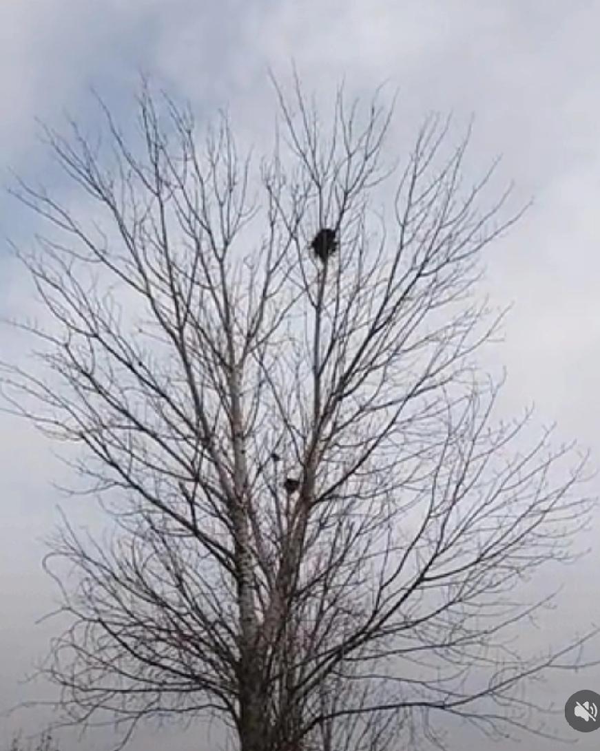 任何时候，都别怀疑，握在手里的存款，是成年人的底气。这话真不是鸡汤！