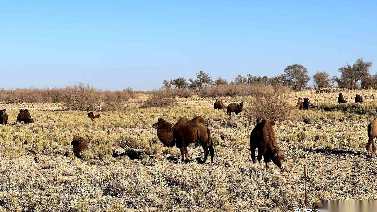 我告诉你现在做自媒体，哪个赛道最狠。不是假徒步，也不是假骑行，更不是蹲在一个地