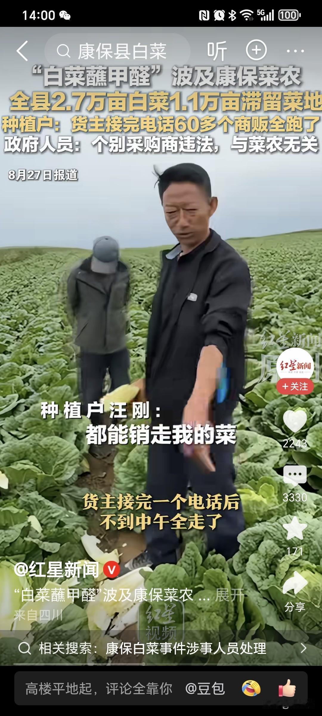 白菜蘸甲醛损失最大的就是菜农，一个多月霜冻期就到了，看这个菜农，为了种好这块大白