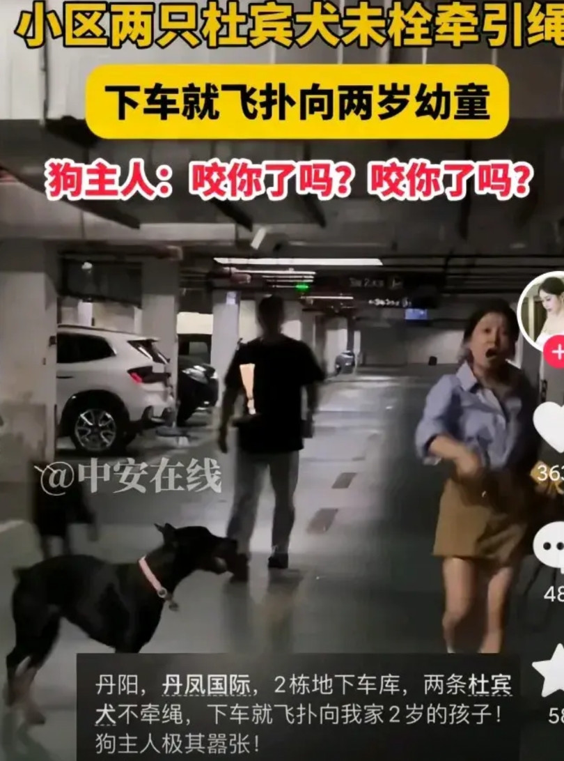 全国民众都在关注丹阳警方。那狗主人可真够嚣张的。警方着实太辛苦了！如此清晰的