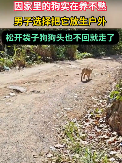 男子养了一条狗，却怎么都养不熟，无奈之下，他只能将狗子装进麻袋，带到野外放生，养