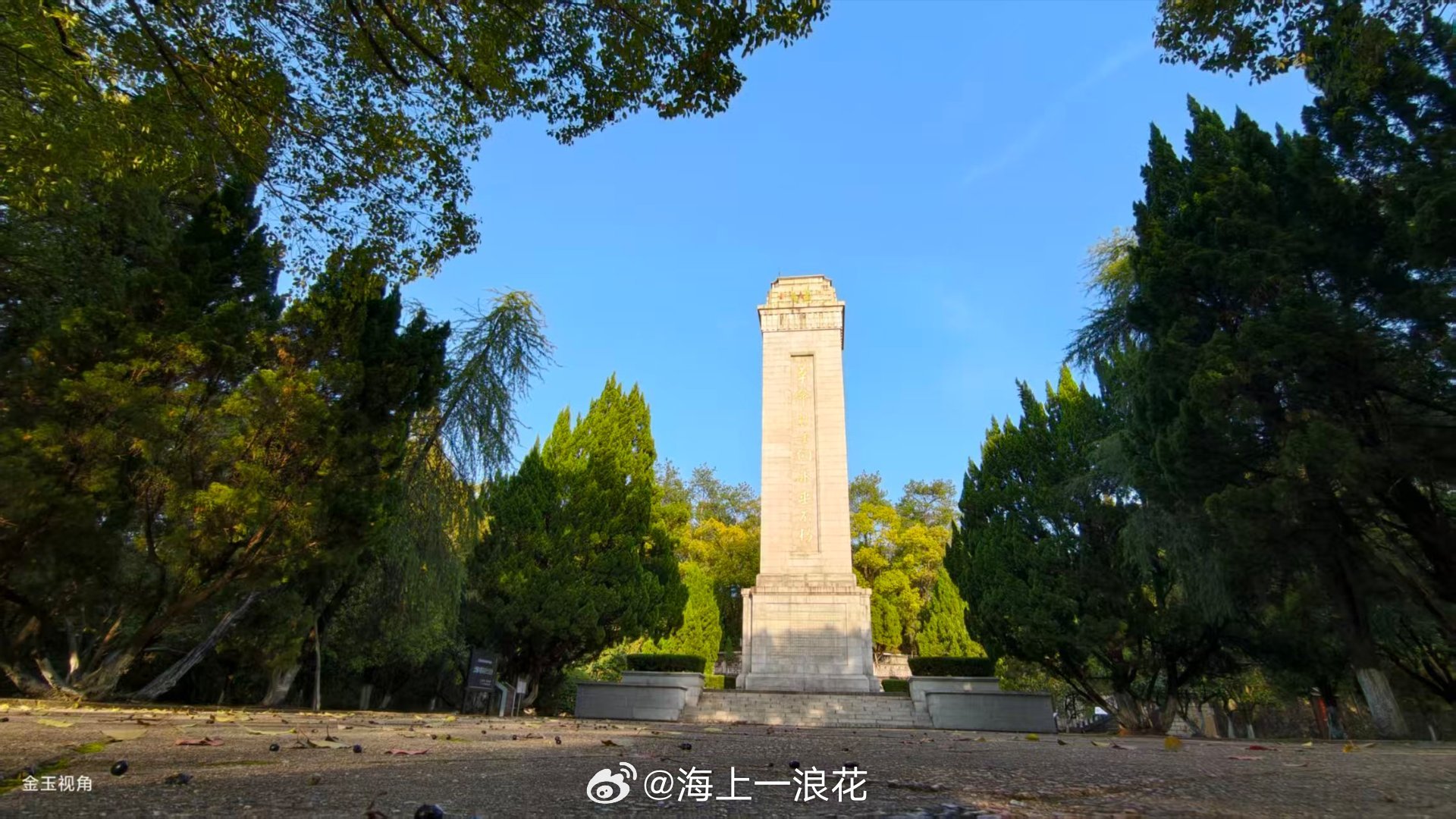 原来上饶的树替我们爱了烈士几十年今天在网上看上饶，看到了最动人的一幕。烈士碑被