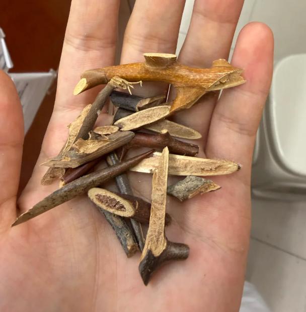 川芎通不开的瘀和堵，换成它，破瘀很强劲，直击耳鸣脑鸣核心大家好，我是陈玉龙！川