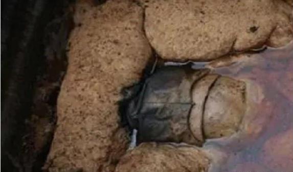 1988年9月，江西德安县出土了一女尸，当考古人员小心翼翼地褪下她的衣服时，竟然